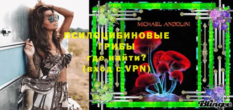 купить наркотики цена  гидра зеркало  Галлюциногенные грибы Psilocybe  Покачи 